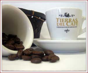 cafe