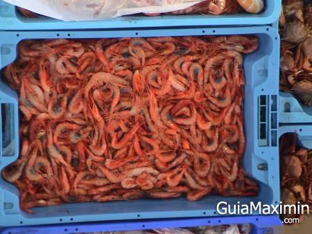 gambas