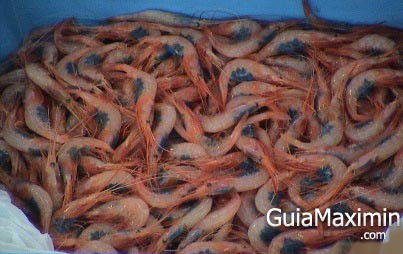 gambas