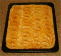 hojal