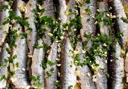 sardinas
