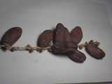 datil