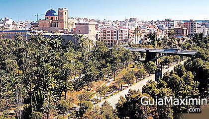 palmeral
