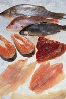 pesca
