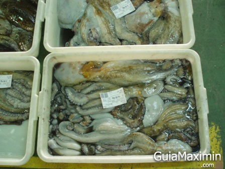 pulpo