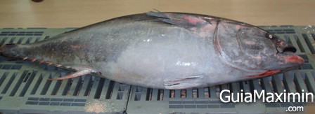 atun