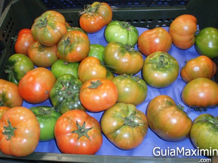 tomateraf
