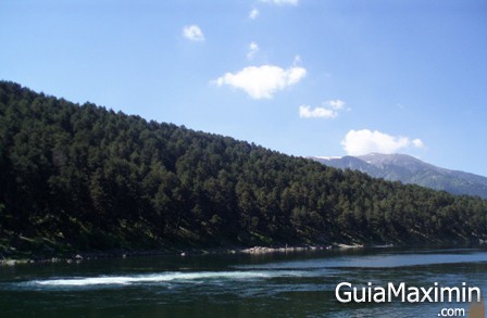 lago