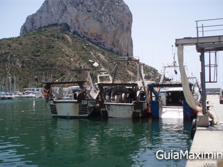 barcos