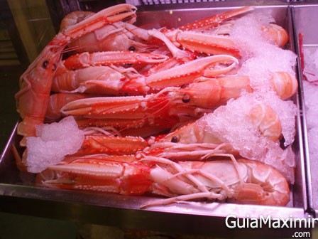 cigalas
