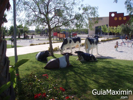 vacas