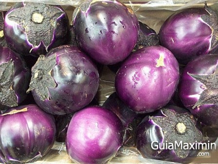 loschicos