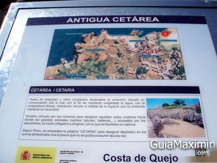 cetarea